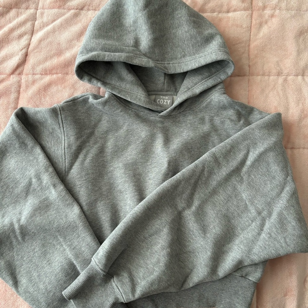 Aritzia COZY cropped hoodie